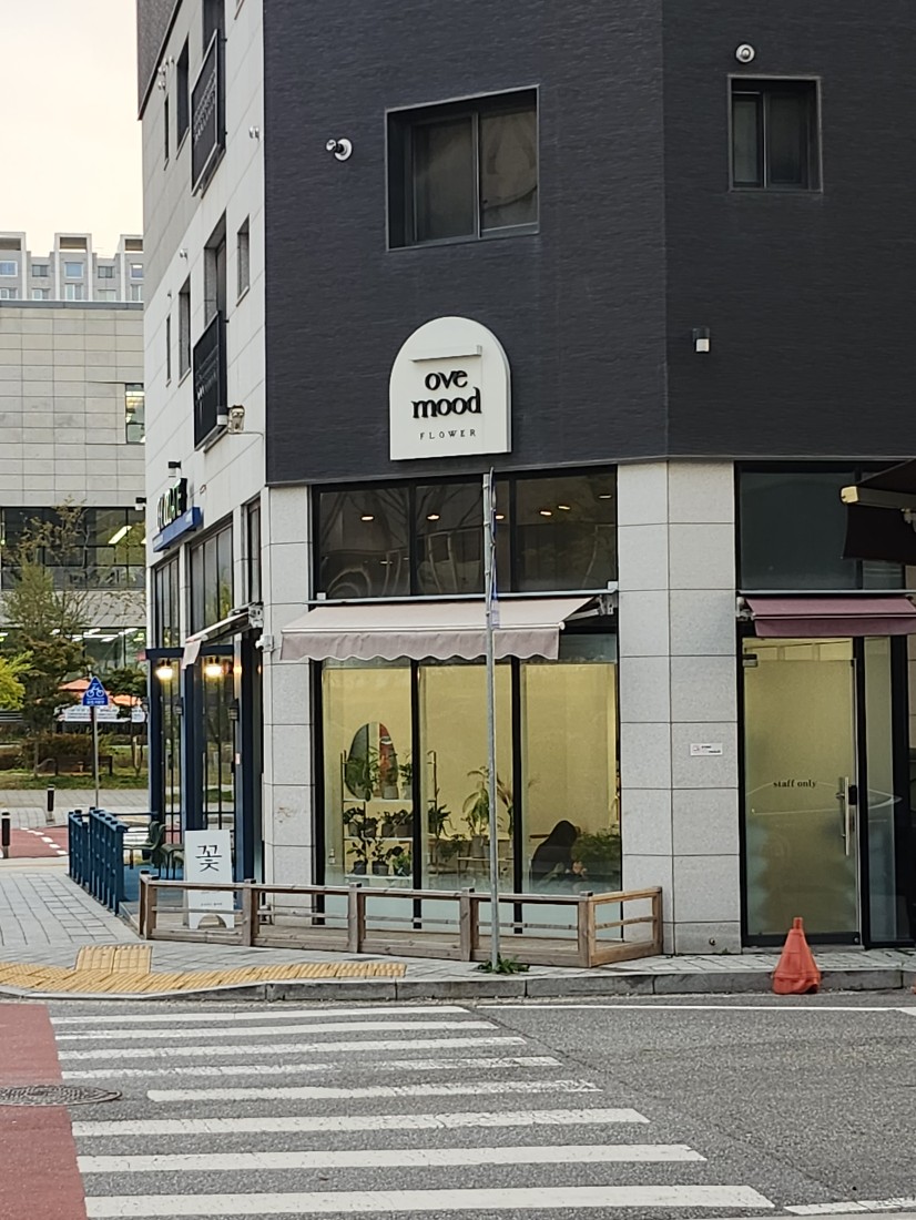 오브무드플라워 이미지
