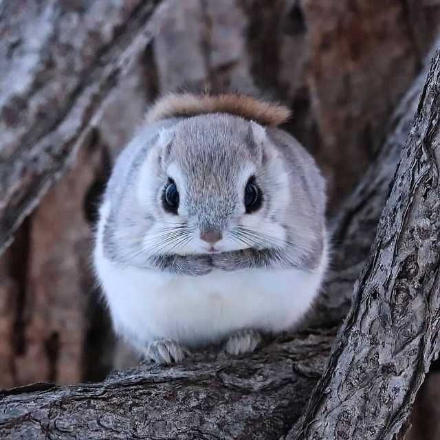 그리로 이미지