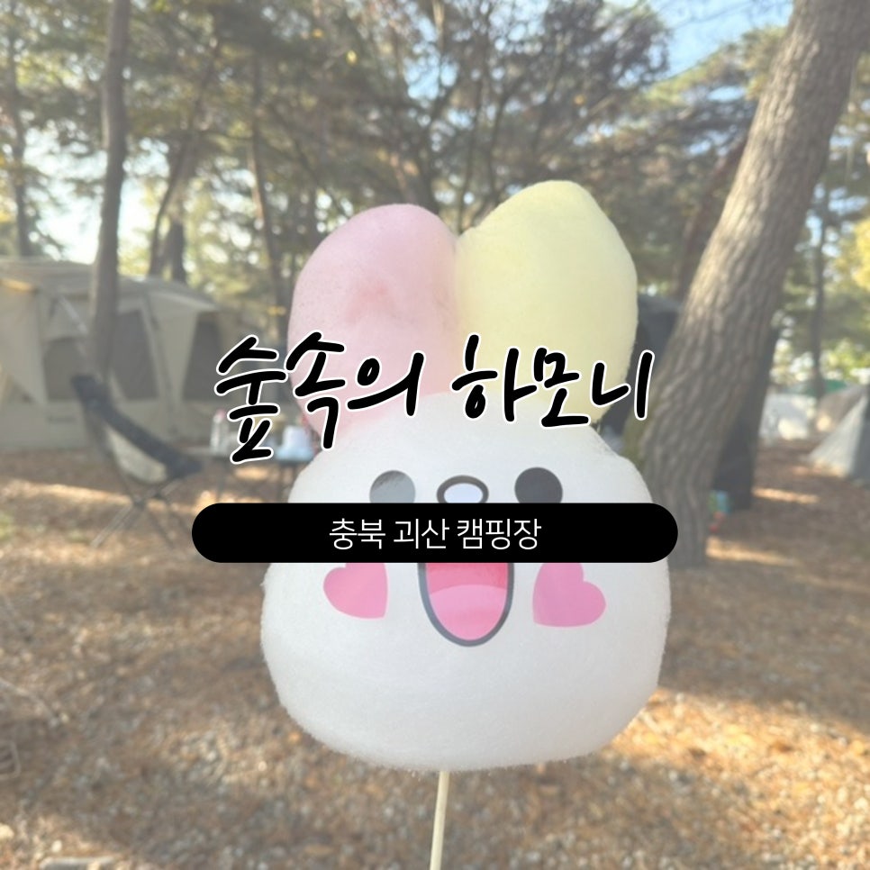 숲속의하모니 이미지