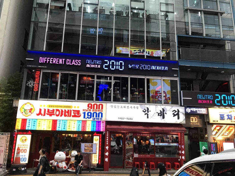 강남솔 이미지