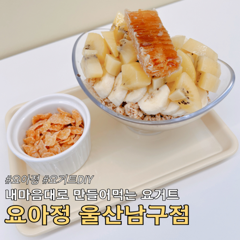 요거트 아이스크림의 정석 대학로점 이미지