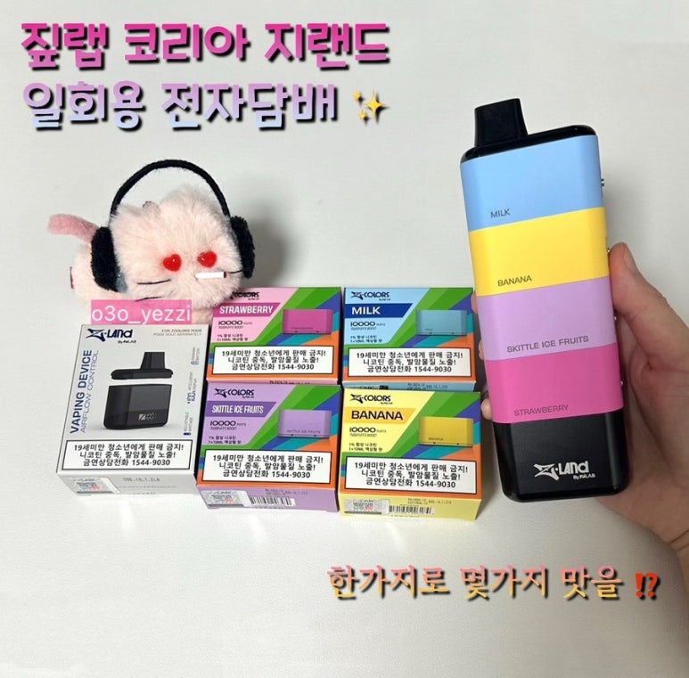 지랜드 이미지