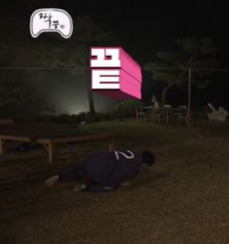 비빔데이 이미지