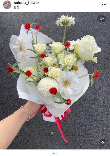 솔루플라워 이미지