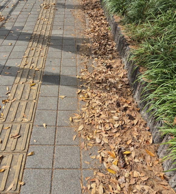 대웅마트 이미지