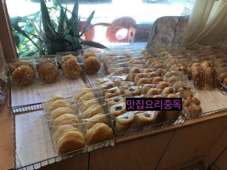 멍구네빵집 이미지