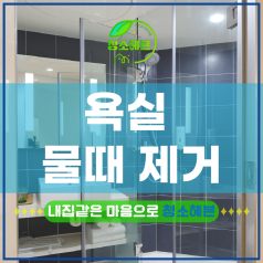 메인이미지1