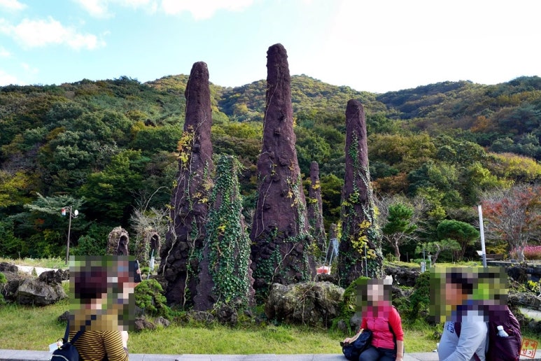 팡팡투어 이미지