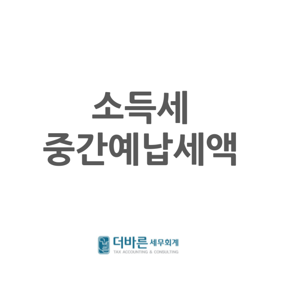 바른세무회계 이미지