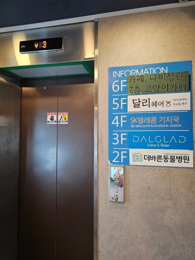 부산고양이까페나비정원 이미지