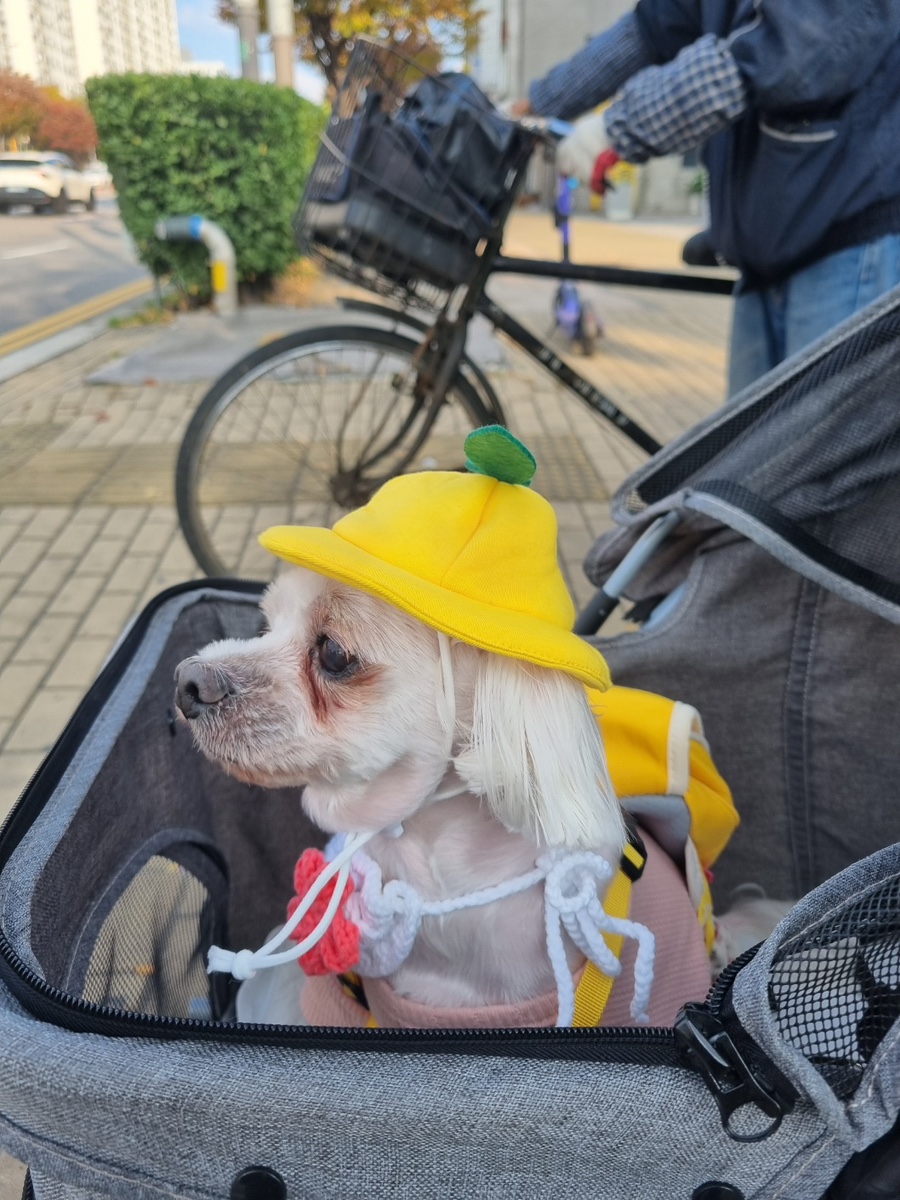 덕앤덕오리굽는마을 이미지