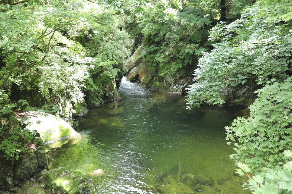 산민박 이미지