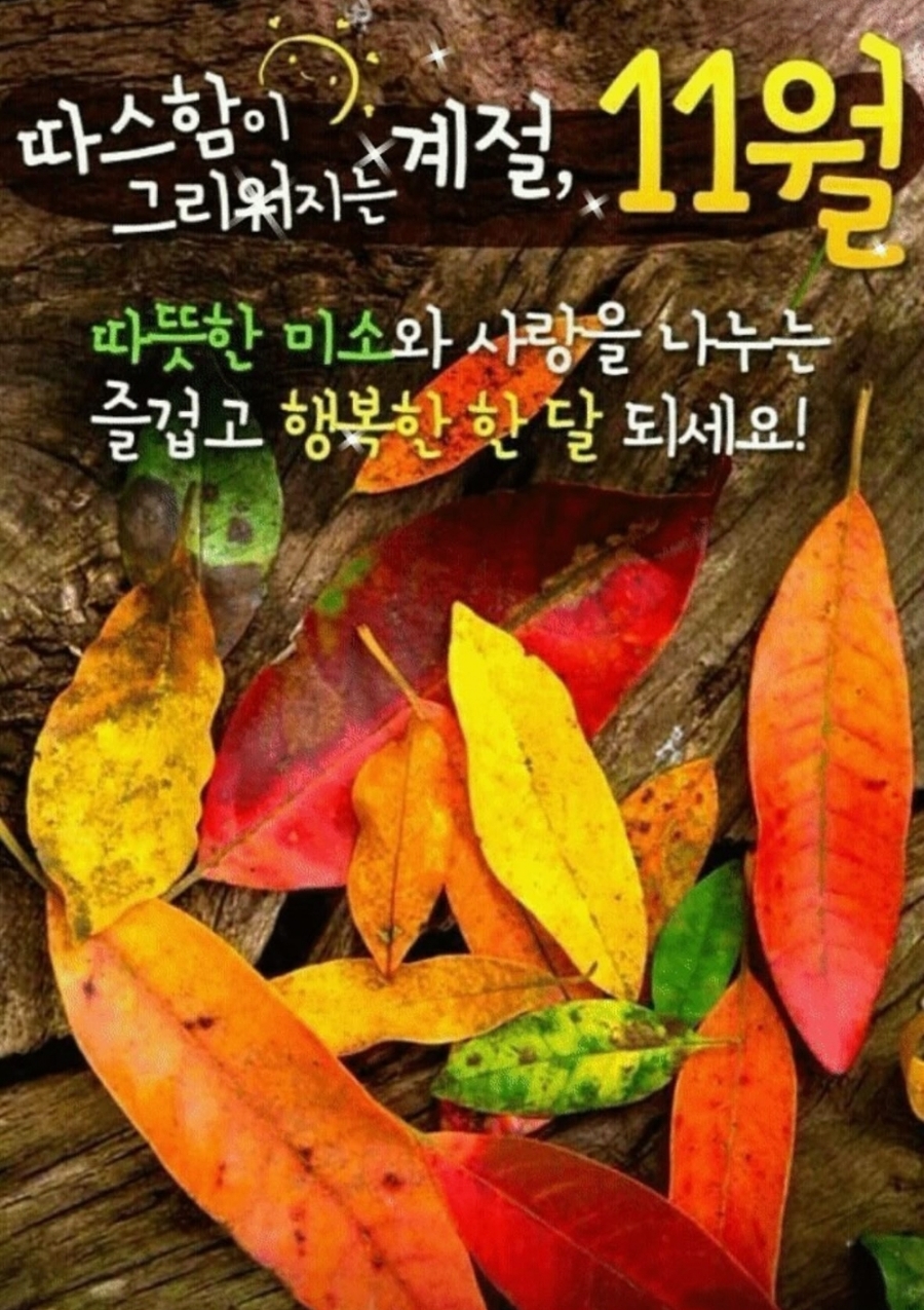 3GO점핑Fit 이미지
