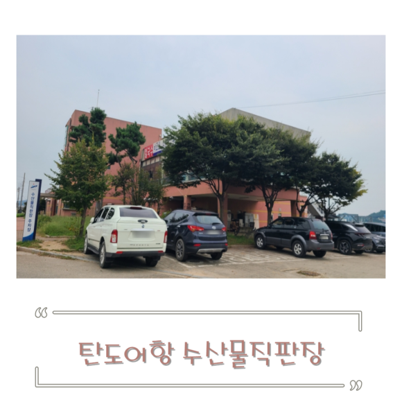 탄도수산물직판장 이미지