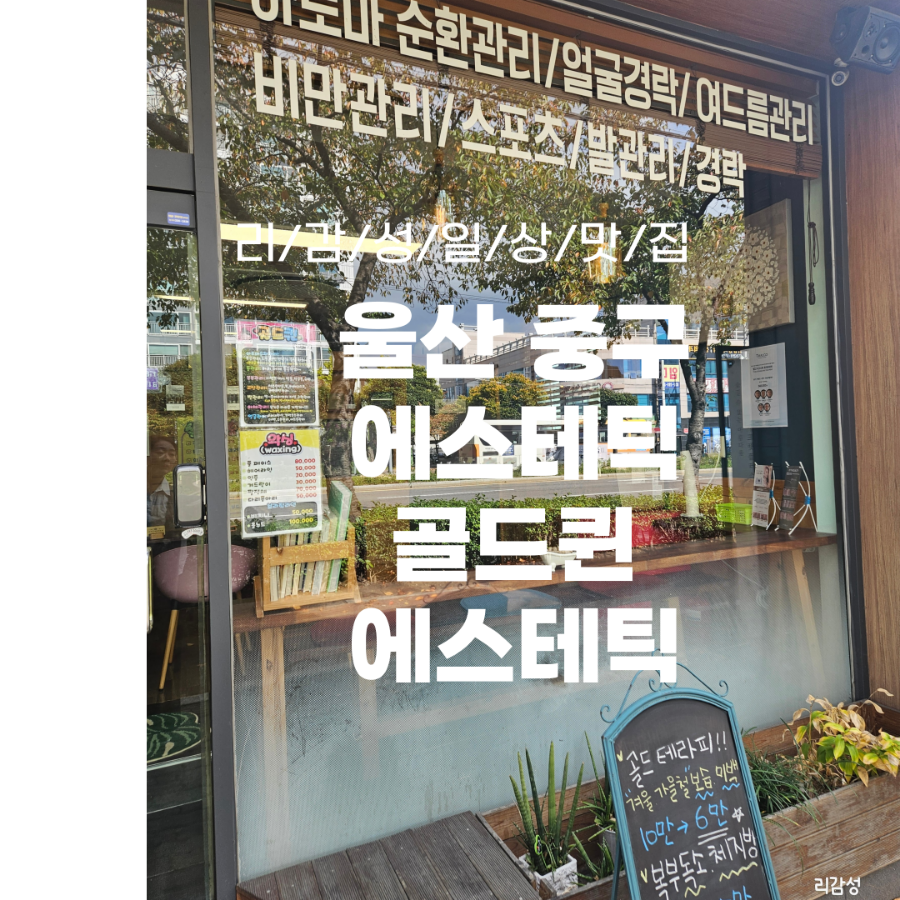 퀸에스테틱 이미지