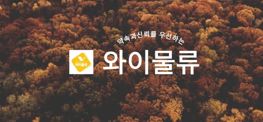 커넥트와이 이미지