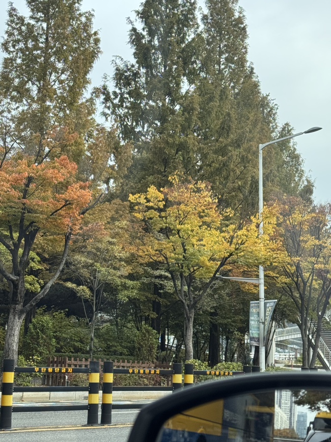 영남사 이미지
