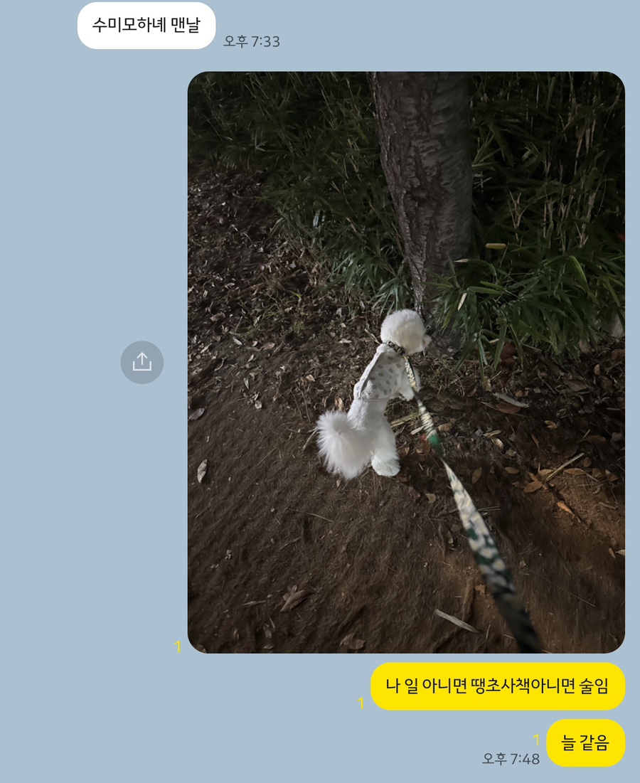 수미쭈꾸미세상 이미지