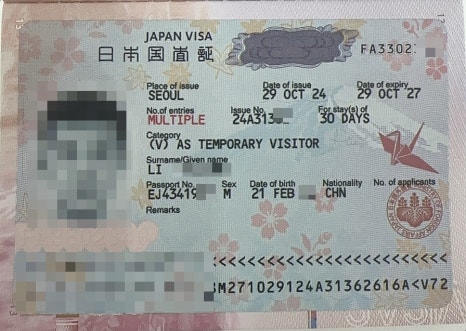 자유국제여행사 이미지
