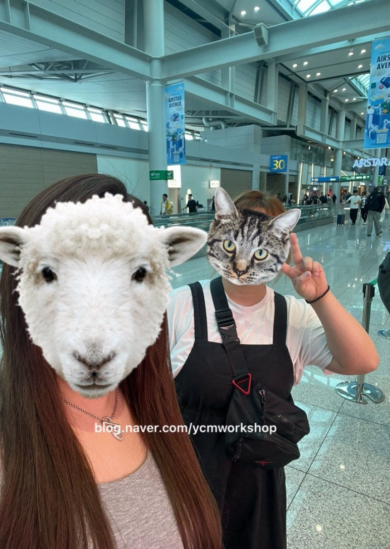 육체미공작소 이미지