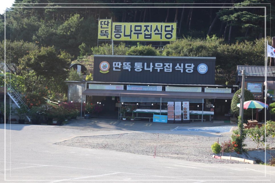 놀러와식당 이미지
