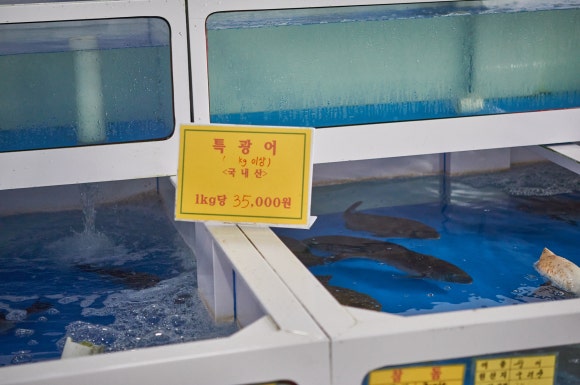 서귀포어시장 이미지