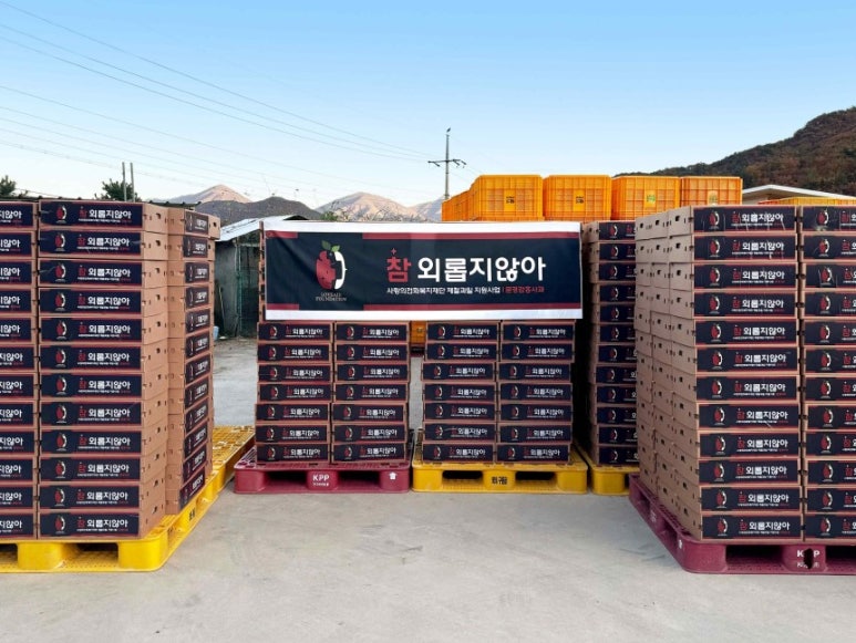 참사랑기획 이미지