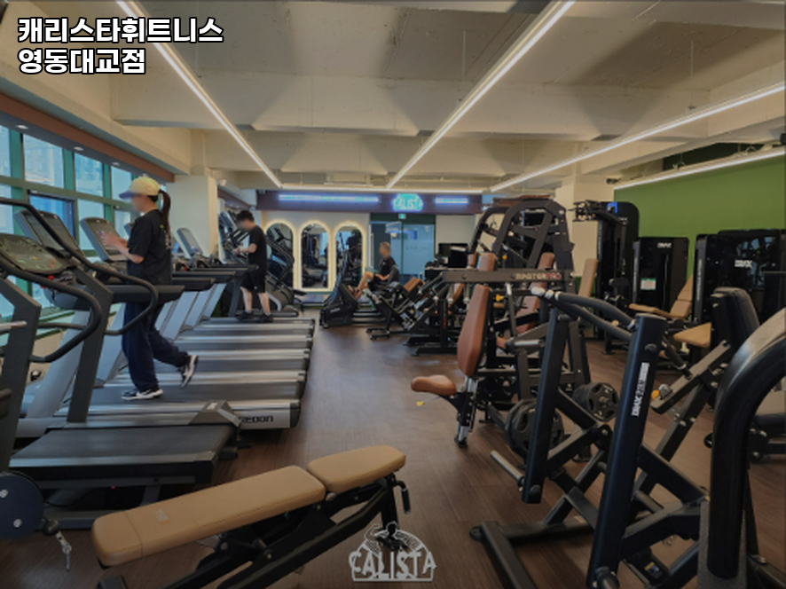 캐리스타휘트니스 이미지