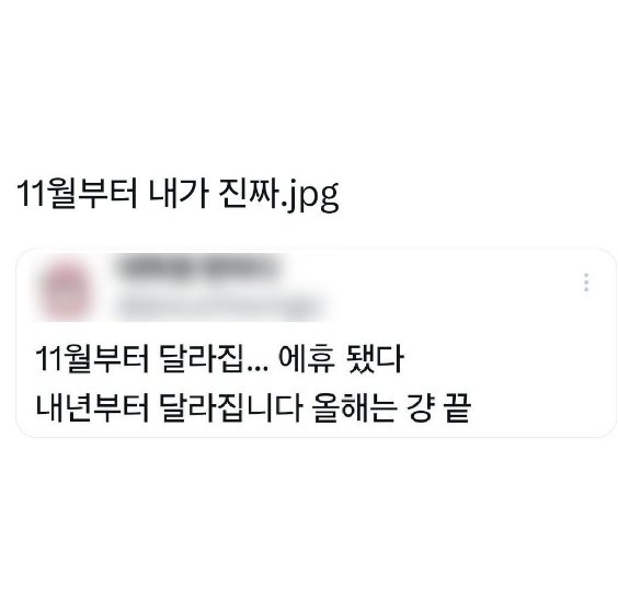 태수갤러리 이미지