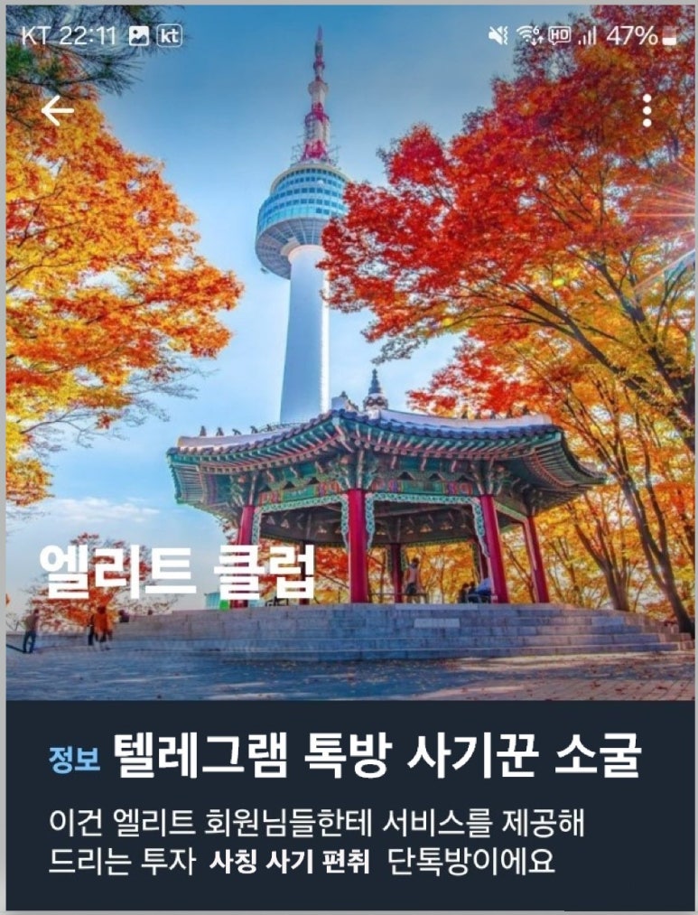 티이알 이미지