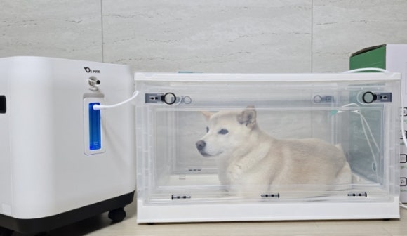 오투산소방 이미지