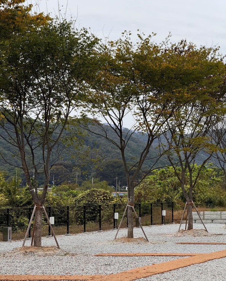 봄이네캠핑장 이미지