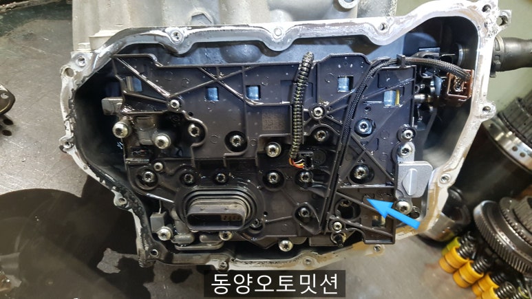 동양오토밋션 이미지
