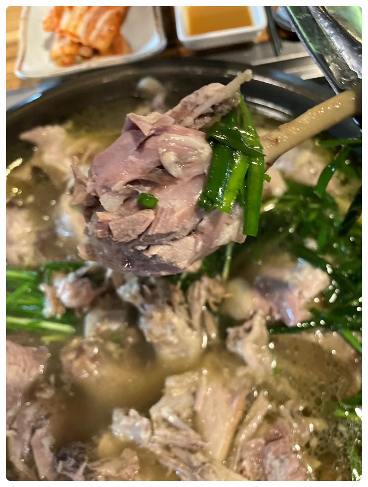 오리와꿀꿀이 이미지