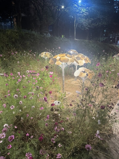 인송자스튜디오 이미지