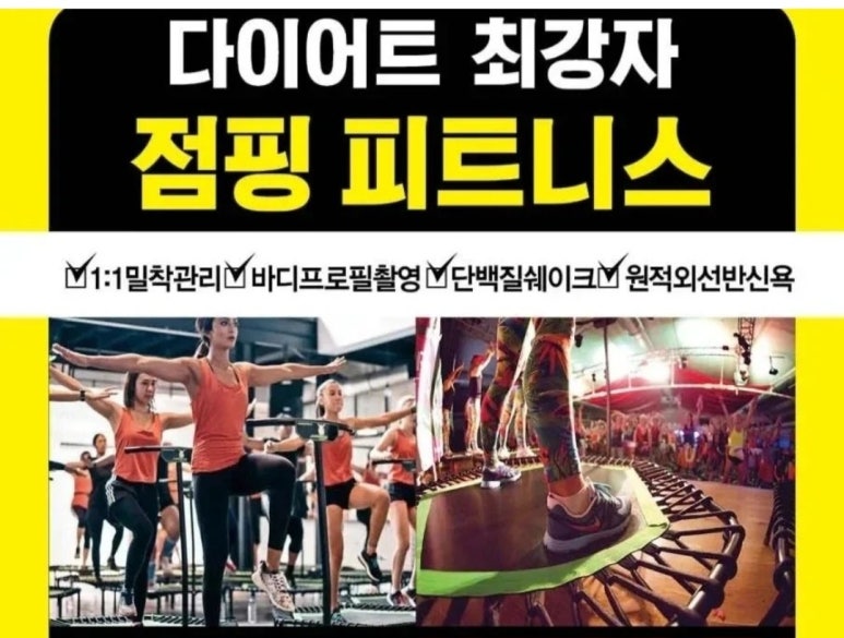 핑다이어트 이미지