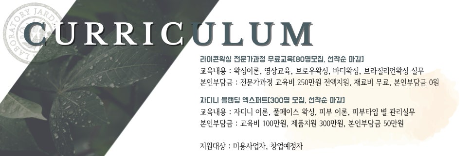 리안프로젝트 이미지