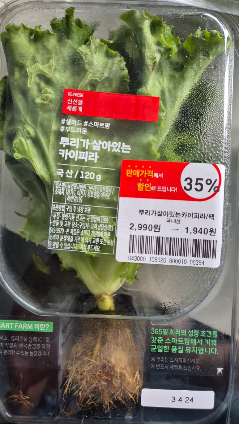 더뿌리 이미지