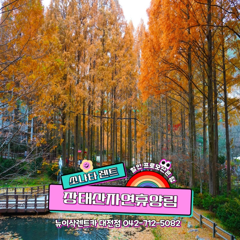 뉴이삭렌트카 이미지