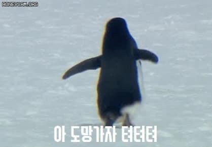 뒤죽박죽 이미지