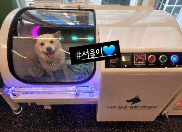 오투산소방 이미지