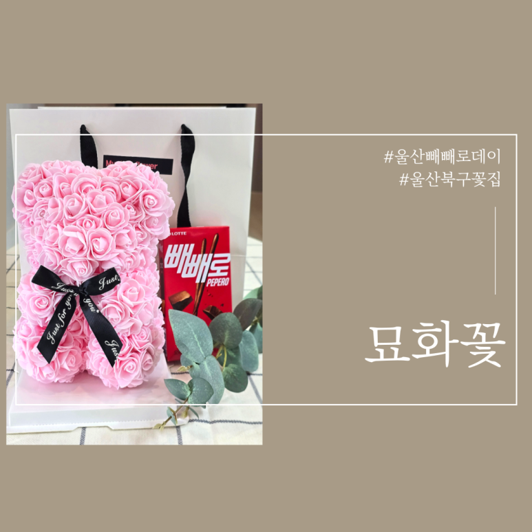 묘화꽃 이미지