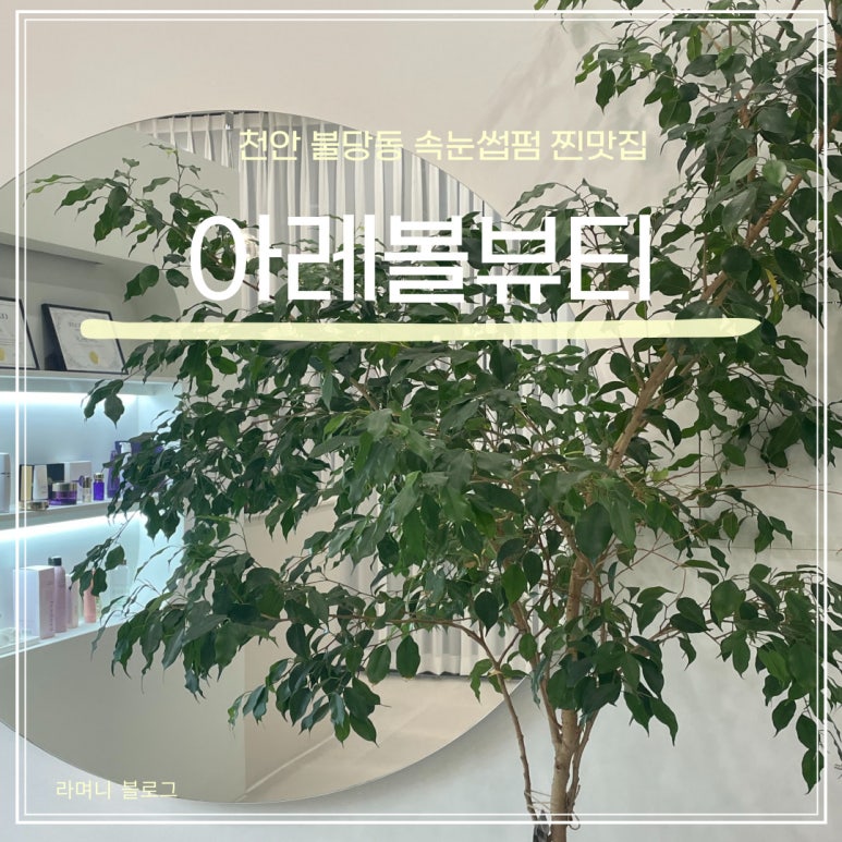 아레볼뷰티 이미지