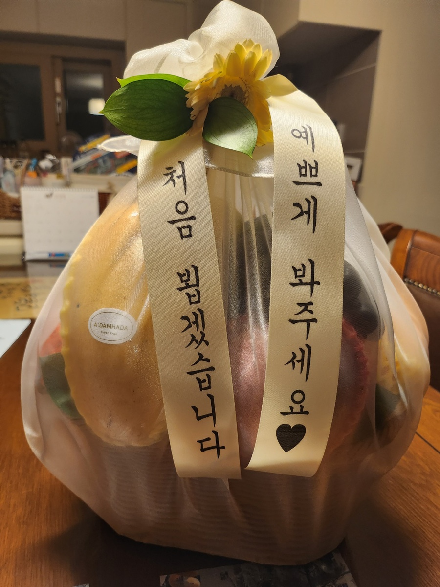 아담하다 이미지