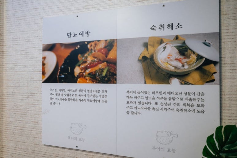 제주복어 이미지