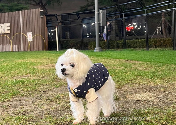 굿앤굿즈 이미지