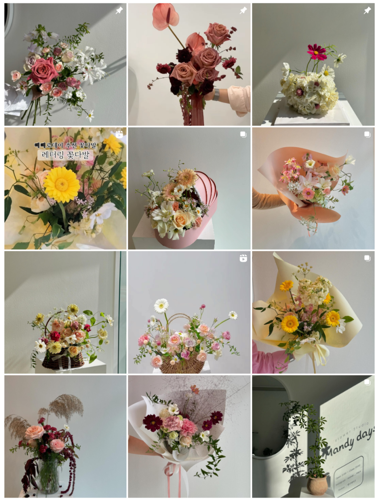 맨디데이즈 이미지