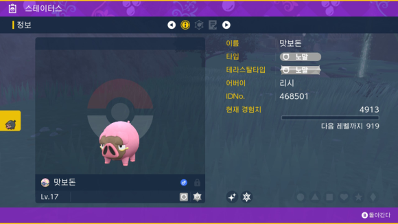 핑돼 이미지