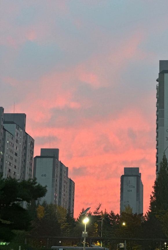 냉삼겹한잔해 이미지