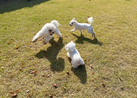 즐거운유치원 이미지